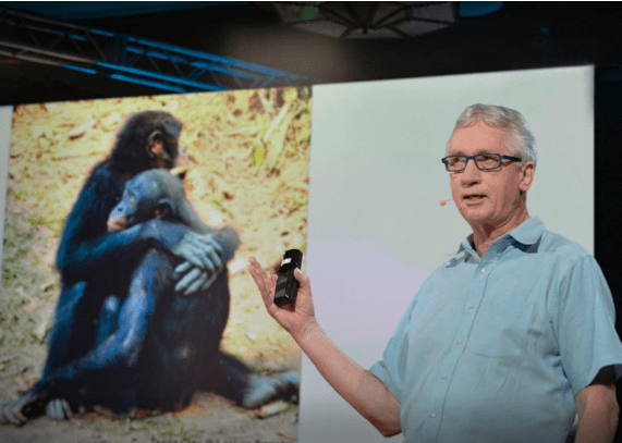 Skepsiscongres 31 oktober 2020